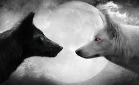 Black And White Photos Of Animals In Shadows What Is Shadow Work In 2020 Wolf Black And White Animals Wolf Pictures