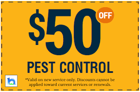 Our staff is friendly and we only suggest products that are suited to your application. Termite Prevention Treatment Hulett Pest Control