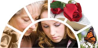 Commemorating 50 Years