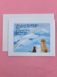 Through this text, i send my sympathies for the loss of your pet my brother. Rainbow Bridge Card For Pet Loss Pet Loss Card Pet Death Pet Condolences Pet Sympathy Card With Sympathy Card Cards Paper Party Supplies Greeting Cards Kromasol Com