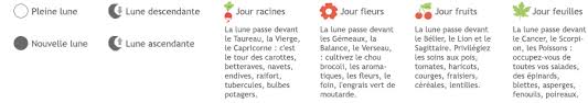 Lune montante (ascendante) lune descendante. Jardiner Avec La Lune En Juin 2020 Calendrier Lunaire Detente Jardin