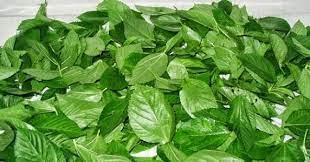 Check spelling or type a new query. Arabic Food Recipes Mulukhiyah Recipe