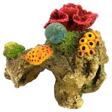 Coral by quito avanza, en flickr cc. Top Fin Red Brain Coral Aquarium Ornament Ornaments Petsmart Coral Aquarium Aquarium Ornaments Fish Tank Themes