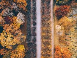 Download New 5k Resolution Ipad Pro Wallpapers Straight From Store Demo Units Download apple ipad pro 10.5 wallpapers hd, beautiful and cool high quality background images collection for your device.