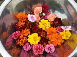 We did not find results for: Island Girl Organics Home Facebook
