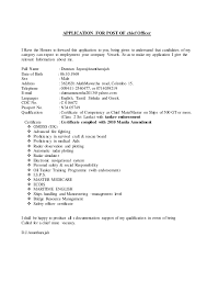 How to make a bio data for job application 2019. Bio Data 14 Copy