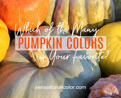 Maybe you would like to learn more about one of these? Pumpkin Colors Beyond Orange Sensational Color