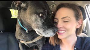 Fundraiser by Lindsey Freeman : Love For Leo