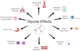 Image result for Glycine