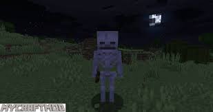 Minecraft Stray Spawn Mod 1 16 1 Mycraftmod Spawn Minecraft Stray