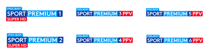 Launch of the broadcast for sports events. Polsat Sport Premium 1 Online Live Stream Mecze Za Darmo Gdzieogladac Pl