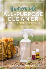 homemade all purpose cleaner