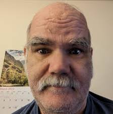 What are the differences between the books?