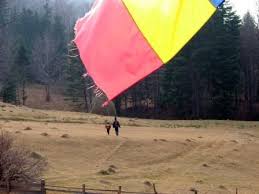 We did not find results for: Guvernul Inchide 37 De Scoli Din Vrancea