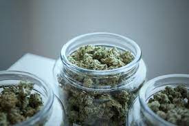 Best Way To Keep Weed Fresh