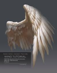For People Who May Interested How To Draw And Paint Bird Wings If You Are Interested Please Check The Link Below Wi Wings Art Wings Drawing Digital Painting