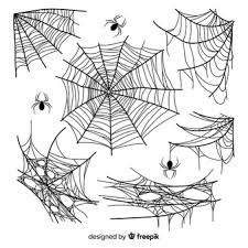 266 42 spider arachnid animal. Spiderweb Images Free Vectors Stock Photos Psd