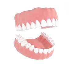 Restrict your diet to liquids and soft foods that are comfortable for you to eat. Dentures Options Procedure Costs