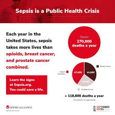 Sepsis may progress to septic shock. Understanding Sepsis One Of The Most Deadly Medical Conditions St Clair Hospital