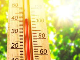We did not find results for: What Are Heat Zones How To Use Heat Zones When Gardening
