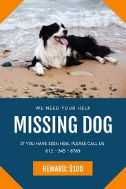 Missing Dog Poster Dog Poster Poster Template Poster