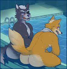 Fox Mccloud x Wolf O'Donell In The Pool comic porn | HD Porn Comics
