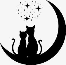 Black And White Cat Drawing Png Vector Cat Cat Vector Cat Clipart Kitty Png And Vector With Transparent Background For Free Download Cat Clipart Cat Art Cat Quilt