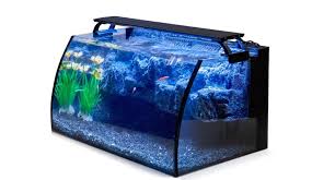 When it comes to setting up a betta tank, one of the easier decisions is choosing your filtration system. 7 Best Betta Fish Tanks Picking A Size Style And Tank Decor