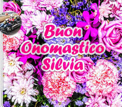 Buononomastico Silvia Deriva Dal Latino Silvius Tratto Da Silva Selva Bosco E Significa Che Vive Nei Boschi Che Viene Da Z Buon Onomastico Onomastico