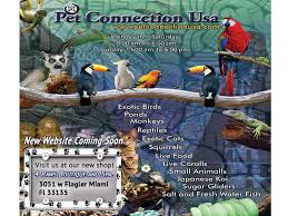 Pin On Exotic Animal Plant Hobbies