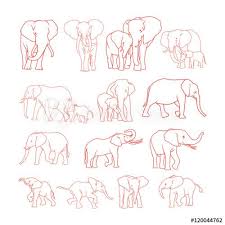 Check spelling or type a new query. Elephant Outline Buy This Stock Vector And Explore Similar Vectors At Adobe Stock Elephant Outline Elephant Family Tattoo Elephant Tattoo Small