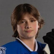 Fond du Lac Springs Ledgers