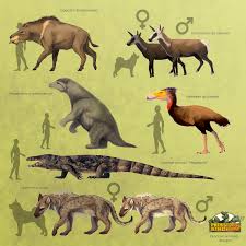 Prehistoric Kingdom Official Blog For Prehistoric Kingdom Page 2 Ancient Animals Extinct Animals Prehistoric Animals
