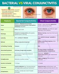 Image result for Bacterial Conjunctivitis