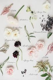 Find photos of bouquet of flowers. Floral Wedding Invitations Clarity Co In 2021 Wedding Flower Guide Wedding Flower Types Cheap Wedding Flowers