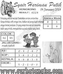 Syair Harimau Putih 04 January 2019 Curhat Angka Harimau Putih Harimau Perasaan