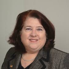 Diane Adkins Tobin for Judge (@DianeforJudge)