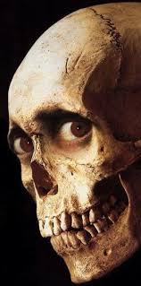 Skull Partage Of Anonymous Art Of Revolution On Facebook Movie Posters Design Classic Horror Movies Best Horror Movies