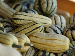 Maybe you would like to learn more about one of these? Delicata Squash Growing Tips Learn How To Grow Delicata Squash