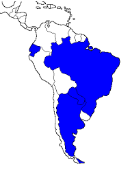15:46 jwasc92futbol 86 348 просмотров. Archivo Clasificados De La Conmebol 2006 Png Wikipedia La Enciclopedia Libre