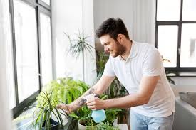 In recent years, though, concern about its effects on people and the environment has grown, leading to legal cases and increased calls for its regulation. What Can I Spray On My House Plants To Kill Bugs Easily