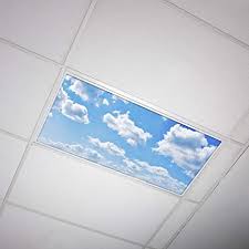 Octo Lights Fluorescent Light Covers 2x4 Fluorescent Light Filters Ceiling Light Covers For Classroom Kitchen Office 001 Amazon Com