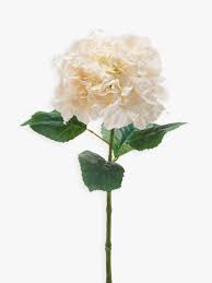 Hydrangea flowers are very needy. Peony Artificial Hydrangea White