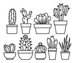 Pin En Sofi 1 Ano Features different kinds of cactus on decorated pots. pin en sofi 1 ano