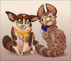 The chief functions of the spleen are:to filter blood. Hey I Would Die For Spleens The Cat And Also Natti S Nest Cat Sim Cats Sims