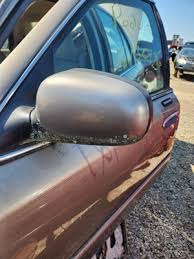 Image result for Arizona Beige 2023 Interceptor