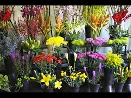 Explore our exclusive flowers for birthday, anniversary, wedding, or any. Artificial Flowers Wholesale