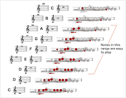 Pin On Music Wind Instruments