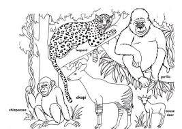You can read more about these endangered animals at liza's reef. Jungle Animal Colouring Pages For Kids Total Update