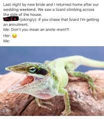 When people decide to get. Great Start To Our Marriage Reptiles